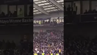 EVERTON FANS ENJOYING THE AFTERNOON AT THE AMEX STADIUM |BRIGHTON VS EVERTON| #football #shorts