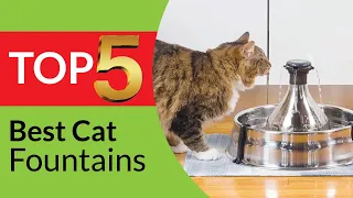 Top 5 Best Cat Fountains in 2024 - Cat Water Fountain Reviews