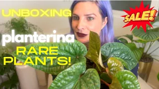 UNBOXING Gorgeous Rare Plants from PLANTERINA! This Stunning Anthurium Was On SALE!