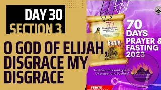 Day 30 MFM 70 Days Prayer And Fasting Programme 2023 Edition: Prayer Battle (4) | Dr. D.K Olukoya