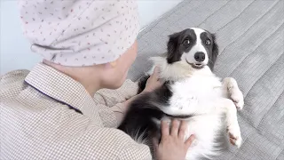 When My Dog Realizes Her Owner Who Had Cancer Is Finally Home Again