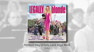 Perfect Day (Chris Lord Agle Mix) - Hoku (audio)
