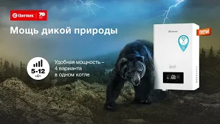 Электрический котел Thermex Grizzly 12 кВт