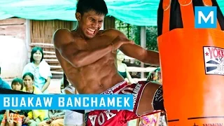 Buakaw Banchamek Hardcore Muay Thai Training | Muscle Madness