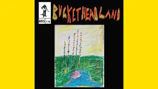 Holiday Lights - Buckethead (Pike 605)
