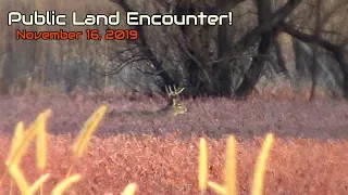 Proven Public Land Big Buck Strategy | Big Buck Spotted!