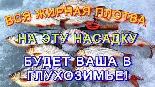 ЖИРНАЯ ПЛОТВА ПРЕТ ВО ВСЮ! НАСАДКА ДЛЯ ЛОВЛИ ПЛОТВЫ ПО ХОЛОДНОЙ ВОДЕ! ЗИМНЯЯ НАСАДКА НА ПЛОТВУ!