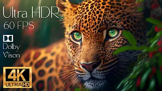 4K HDR 120fps Dolby Vision with Animal Sounds (Colorfully Dynamic) #4