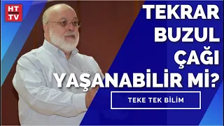 Büyük yok oluşlar hangi canlı türlerinin sonunu getirdi? Prof. Dr. Nüzhet Dalfes yanıtladı