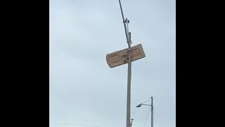 Porta-potty door stuck in pole post-tornado in Florida's Bay Area