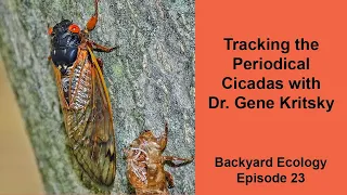 Tracking the Periodical Cicadas with Dr. Gene Kritsky