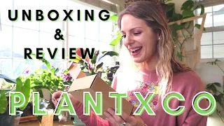 Beautiful Houseplant Unboxing from PLANTXCO | First Plant Unboxing!