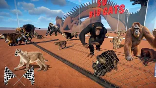 50 Big Cats VS 50 Apes Animals Escape Race in Planet Zoo included Lion, Tiger, Gorilla, Monkey