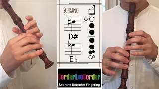 [Soprano Recorder Fingering Chart] EVERY NOTES!!!