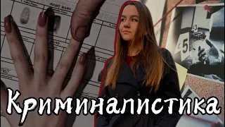 Обзор чемодана «КРИМИНАЛИСТ» | Что внутри?