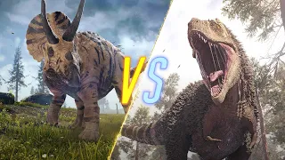 Triceratops VS T-Rex