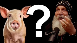 Can Christians Eat Pork? - Mar Mari Emmanuel