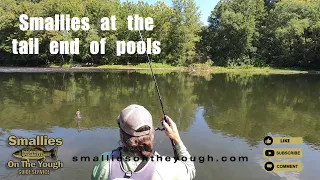 Smallmouth Bass where they live #youtube #fishing #reels #trending #fish #smallmouth #reels