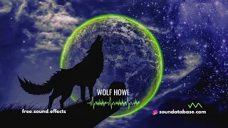 Wolf Howl Sound Effect (royalty - free) - link to free download in description ⬇️