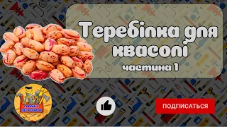 Теребілка квасолі - аналогів немає!. Лущимо квасолю швидко і якісно.(Частина 1 / 3)