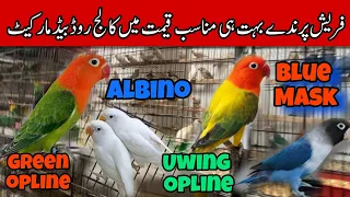 Warsi birds shop college road Rawalpindi #viralvideos #collegeroadrawalpindi #rawalpindibirdsmarket