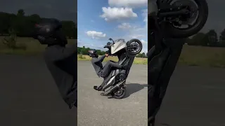 TMAX 530 WHEELIE DOUBLE SCRAPE