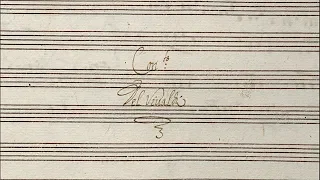 Concerto Del Vivaldi / RV 390 in B minor (Autograph score)