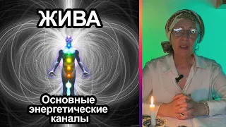 Жива. Основные энергетические каналы