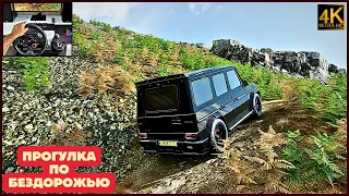 MERCEDES BENZ G 65 AMG | Realistic offroading - Forza Horizon 4 | RTX 4080 (16Gb) 60 fps | G29