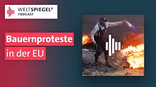 Bauern gegen Brüssel: Protestwelle überrollt Europa | Weltspiegel Podcast