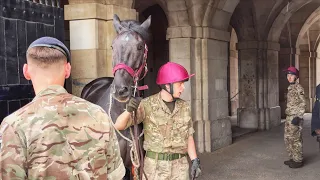 BOSS and TROOPERS LOAD MOST POWERFUL KING'S HORSES - Exclusive Not what you see often!
