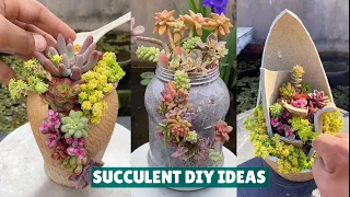 Succulent DIY Ideas from Recycling - Succulent Garden #肉植物 #다육이들 #Suculentas