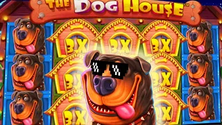 The Regular Dog House 🐶 HIGH STAKE 🤑 Bonus Hunt MEGA BIG WIN Random Michael Destroyed it €36 BET‼️