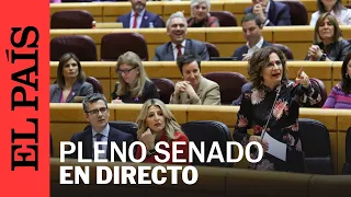 DIRECTO | El 'caso Koldo', a debate en el Senado | EL PAÍS