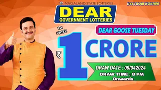 LOTTERY LIVE DEAR LOTTERY SAMBAD 8PM DRAW 09-04-2024 - Will You Are the Next Crorepati?