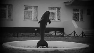 ♛ Чёрный Дельфин ♛   Текст Lyrics
