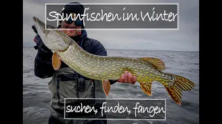 Spinnfischen im Winter auf Hecht - suchen, finden & fangen!