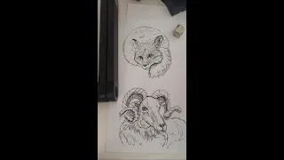 Обезьяна, Лиса, Барашек! 3 рисунка за 1 час! Wow! Monkey, Fox, Lamb 3 drawings in 1 hour!