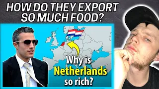 Brit Reacts to Why is The NETHERLANDS so RICH? The world's second largest exporter of food?