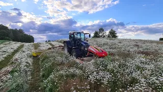 2020 summer#21 vis dar šienauju