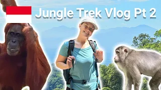 Jungle Trek, Jungle Trek, in Bukit Lawang 🇮🇩 Jungle Trekking in Sumatra - Part 2 | Vlog #6