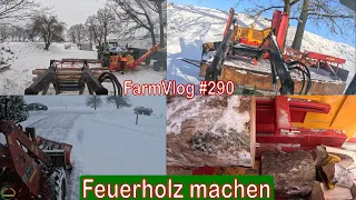 Farmvlog #290: Öehler Sägespaltautomat