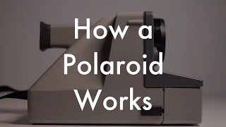 How Does a Polaroid Work?