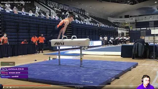 Pommel Horse D-Score: All You Need to Know