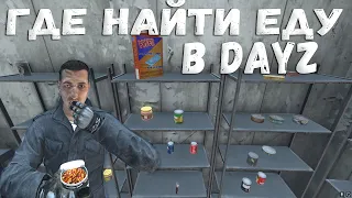 Как и где найти еду в DayZ 1.24 ? (Food Guide)