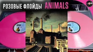 Розовые Флойды, обзор двух изданий Pink Floyd - Animals