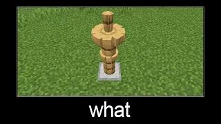 Minecraft wait what meme part 51 (many armor stands in one block)