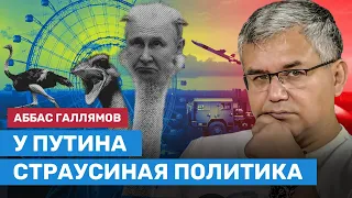 Галлямов: Поражение в Украине приведет к падению режима Путина