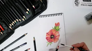Drawing poppies in watercolor pancils. Малювання ескізу прикраси Маки акварельними олівцями