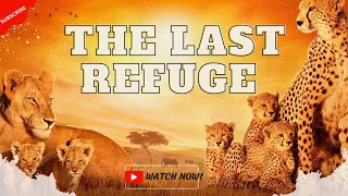 THE LAST REFUGE|| Full Hindi Documentary